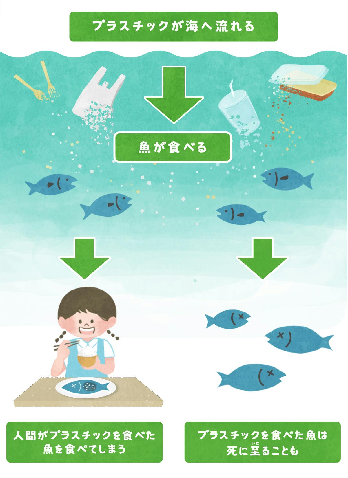 プラスチックごみが海に流れ出るとどうなるの？｜やさしい素材JAPAN